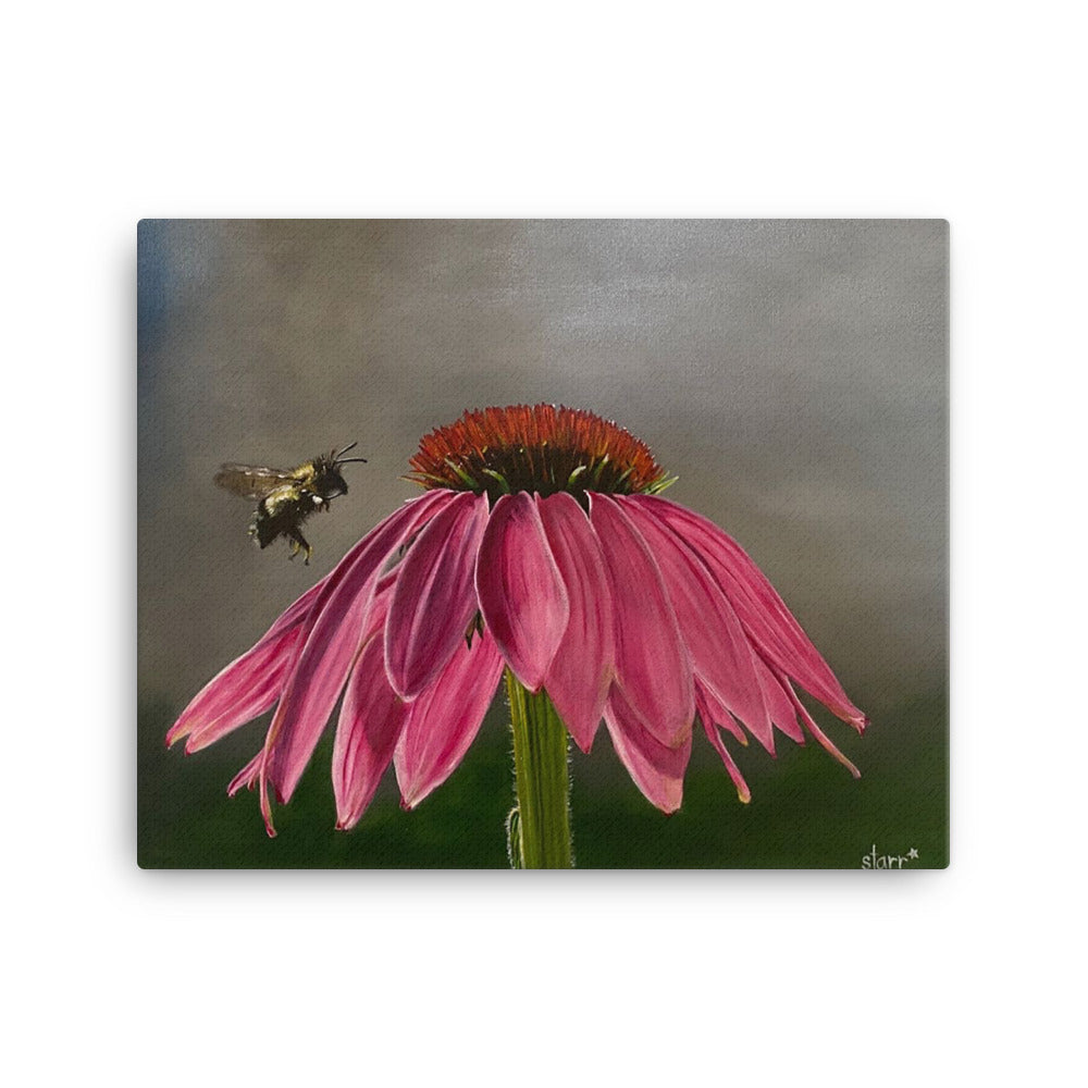 Bee Kind - Canvas