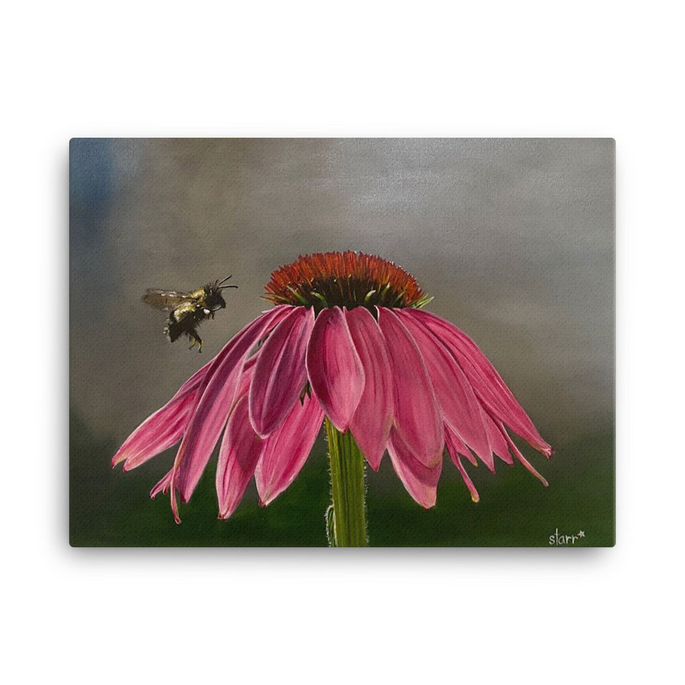 Bee Kind - Canvas