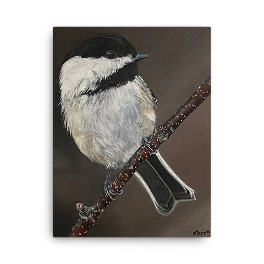 What the Chickadee - Canvas